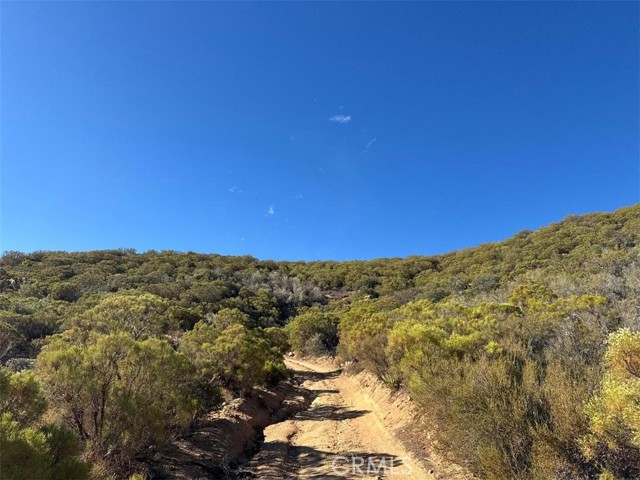 0 Chapman Road, Anza CA: https://media.crmls.org/medias/1bab31c8-e059-4aab-80ed-0a2ab23ba35a.jpg