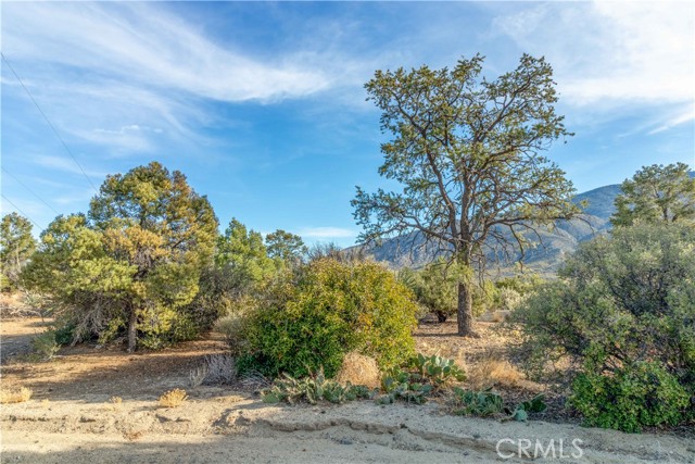 Detail Gallery Image 27 of 40 For 63920 Mountain Center, Mountain Center,  CA 92561 - 1 Beds | 1 Baths