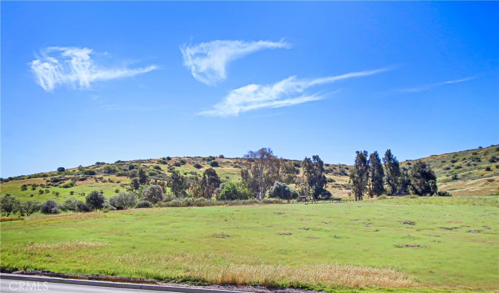 13039 Alpine Drive