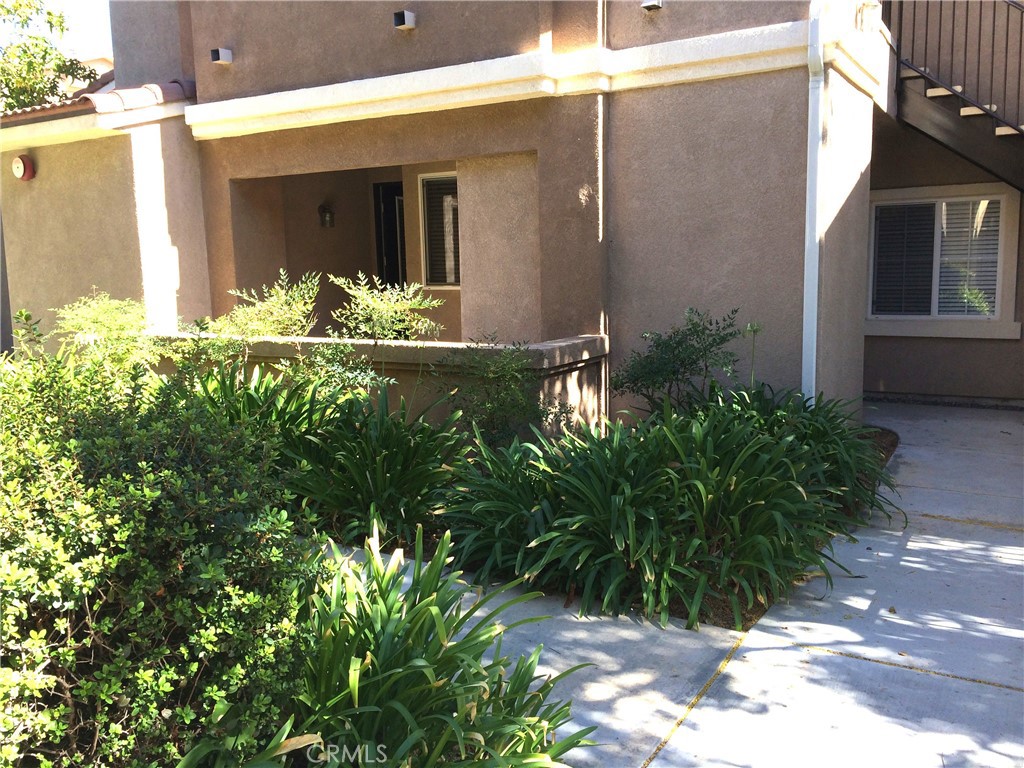 41410 Juniper #1212