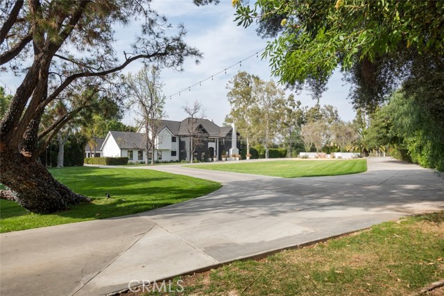 1bb2bd9d Bc19 4b05 8bdf Ebb750df8ad9