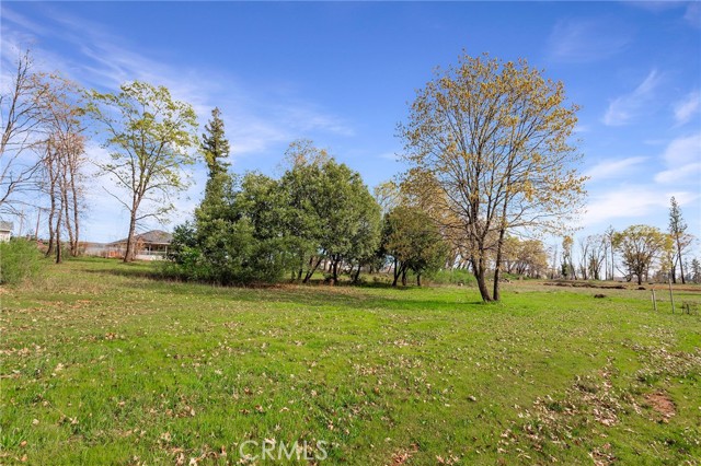 Front Image Thumbnail for CRPA26034121