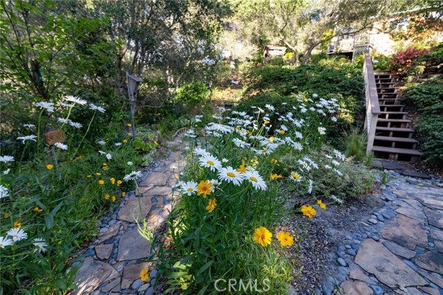 Detail Gallery Image 7 of 75 For 2310 Oak Haven Ln, Arroyo Grande,  CA 93420 - 4 Beds | 3 Baths