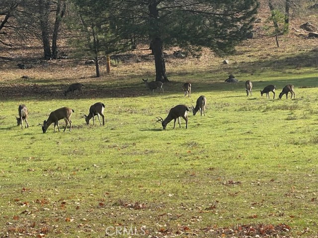 Detail Gallery Image 61 of 61 For 13449 Anderson Rd, Lower Lake,  CA 95457 - 4 Beds | 3 Baths