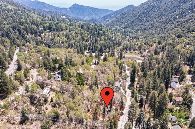 6011 Mountain Home Creek Road, Angelus Oaks, California 92305, ,Land,For Sale,6011 Mountain Home Creek Road,CREV23173509