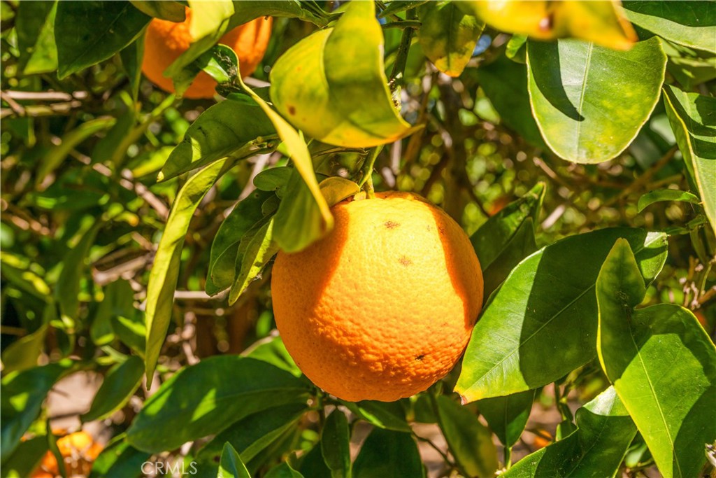 https://media.crmls.org/medias/1bc07c3f-740d-4c94-9882-5a860d880390.jpg?preset=X-Large