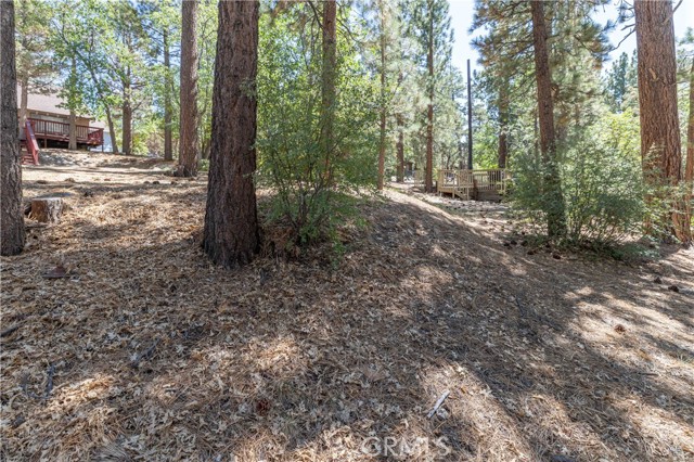 Detail Gallery Image 10 of 14 For 0 Kern Ave, Sugarloaf,  CA 92386 - – Beds | – Baths