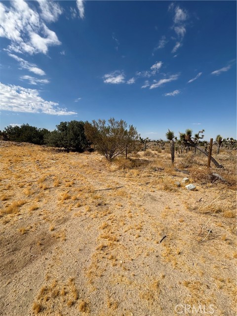 Detail Gallery Image 5 of 16 For 0 Avenue X, Llano,  CA 93544 - – Beds | – Baths