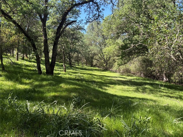 Detail Gallery Image 20 of 26 For 3465 Foothill Bld, Oroville,  CA 95966 - – Beds | – Baths