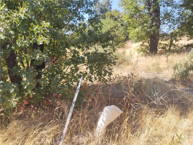 363 Raccoon Road, Berry Creek, California 95916, ,Land,For Sale,363 Raccoon Road,CROR24029245