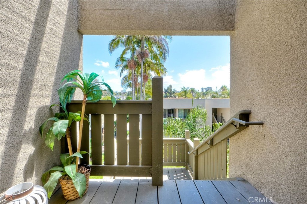 149 Glaucus - photo 6