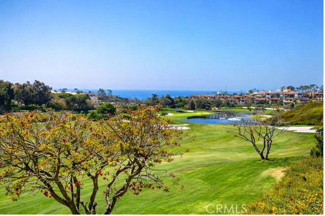 Detail Gallery Image 54 of 62 For 27 via Monarca St, Dana Point,  CA 92629 - 4 Beds | 4/1 Baths
