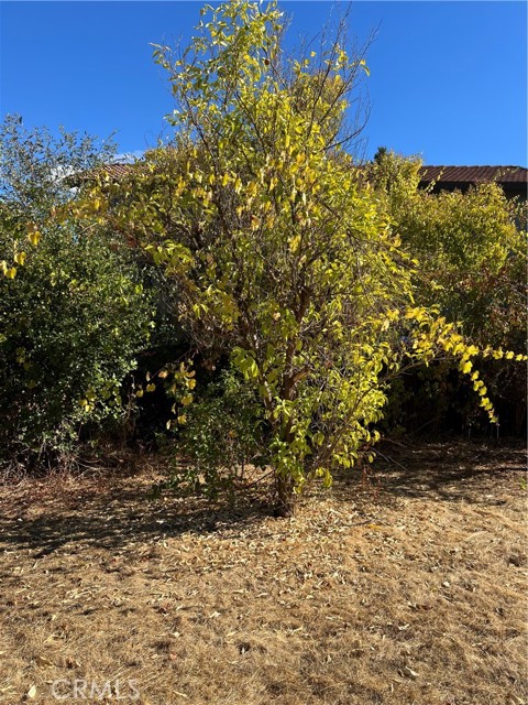 Detail Gallery Image 51 of 54 For 502 Venezia Way, Cloverdale,  CA 95425 - 2 Beds | 2 Baths