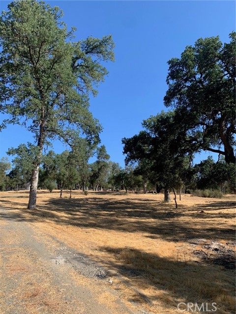 Detail Gallery Image 57 of 60 For 4326 Blade Creek Rd, Mariposa,  CA 95338 - 2 Beds | 1 Baths