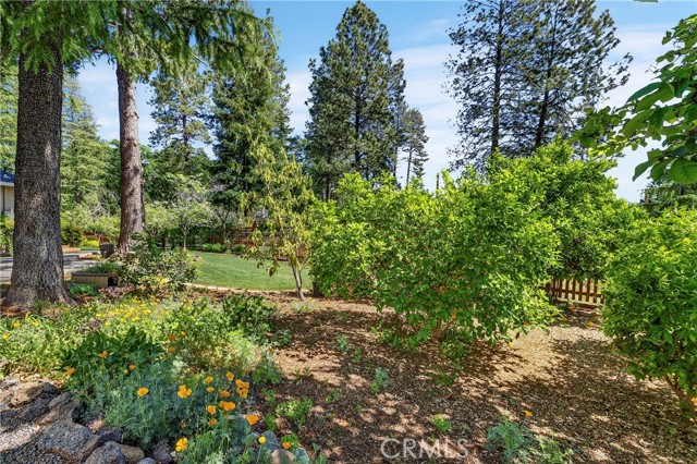 6153 Twin, Paradise CA: https://media.crmls.org/medias/1be87909-85b7-4f1e-9165-ba5a96cbba59.jpg