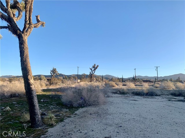 57335 Twentynine Palms, Yucca Valley, California 92284, ,Land,For Sale,57335 Twentynine Palms,CRNP23100972