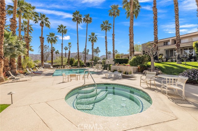 Image 31 of 45 For 73575 Encelia