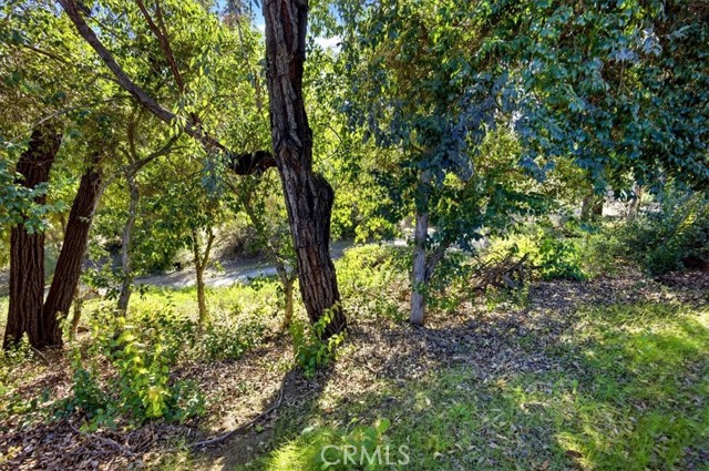 Detail Gallery Image 30 of 30 For 24599 Calle San Vicente, Murrieta,  CA 92562 - 4 Beds | 2/1 Baths