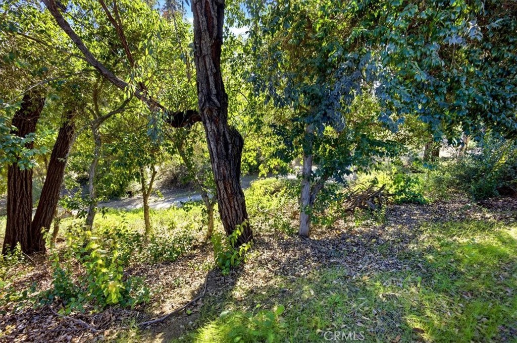 MLS #PW25278232 image #29