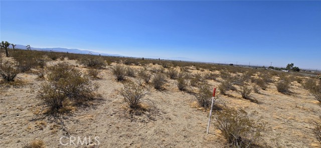 10707 Pearblossom Hwy, Littlerock CA: https://media.crmls.org/medias/1bf58faa-fb5e-49dc-aa54-7ea35f3452bb.jpg