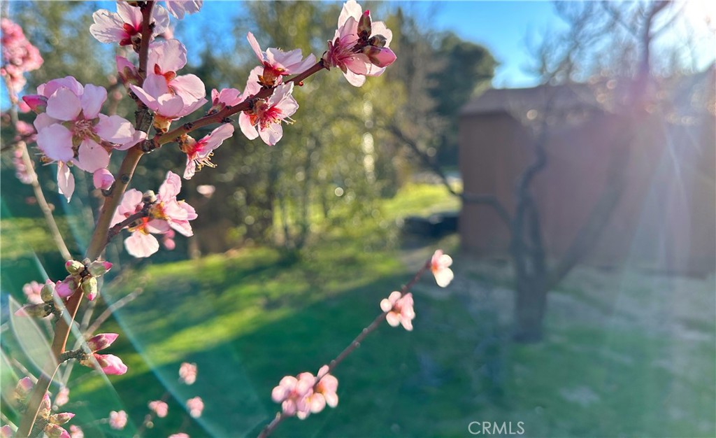 https://media.crmls.org/medias/1bf64fc8-3459-4622-a568-b64e1c6aecd5.jpg?preset=X-Large