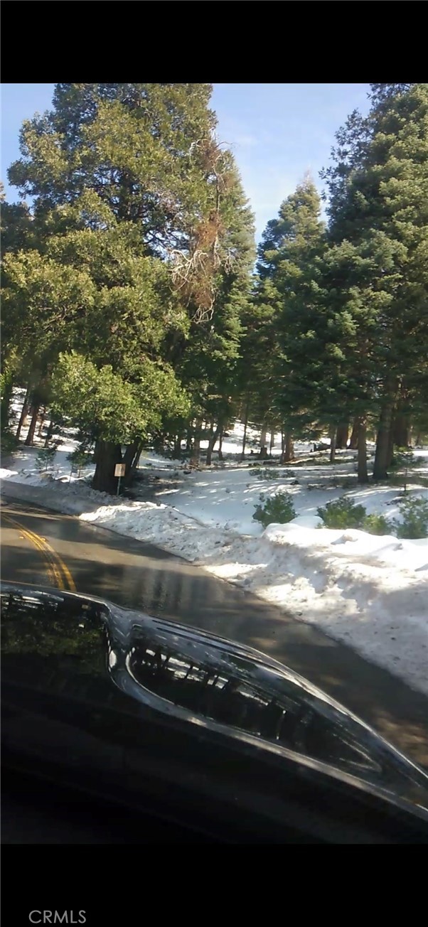 0 Saxon, Crestline CA: https://media.crmls.org/medias/1c01961d-4a66-464e-84a0-0611f737cabf.jpg