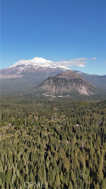 Detail Gallery Image 22 of 22 For 0 Muledeer Rd., Weed,  CA 96094 - – Beds | – Baths