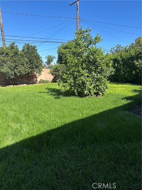 MLS #DW25237635 image #13