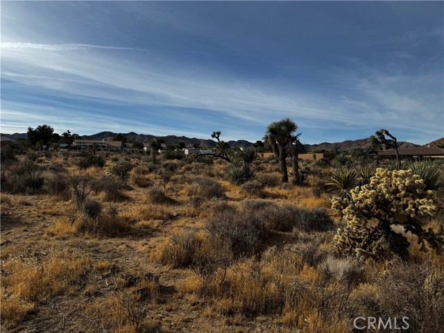 Detail Gallery Image 3 of 12 For 0 Plute Trl, Yucca Valley,  CA 92284 - – Beds | – Baths