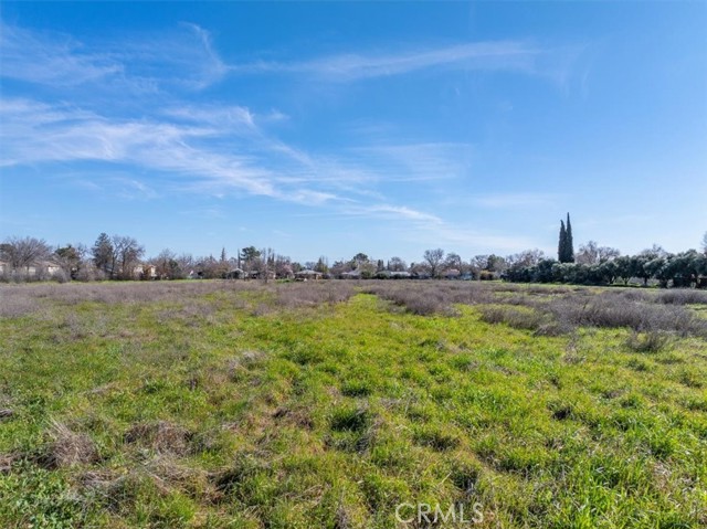 Detail Gallery Image 9 of 16 For 0 Hwy 99 W, Corning,  CA 96021 - – Beds | – Baths