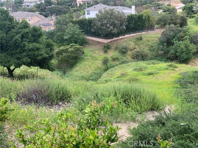 462 Kathleen, Newbury Park, CA, 91320 462 Kathleen, Newbury Park, CA, 91320