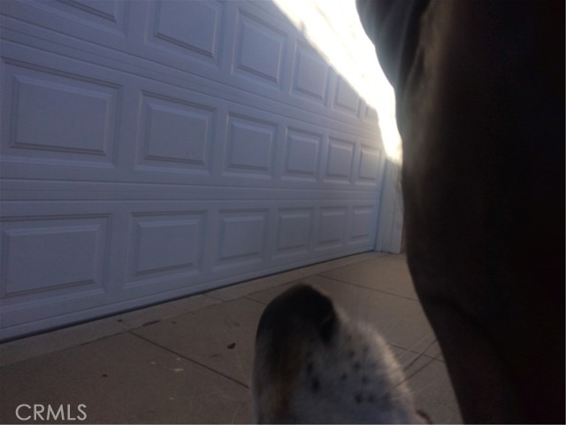 2035 W 71st, Los Angeles CA: https://media.crmls.org/medias/1c1ba5e6-a050-4c2e-9f39-b2313a1d6808.jpg