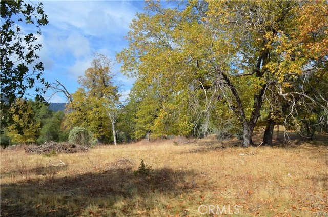 Detail Gallery Image 19 of 41 For 2 .68ac Sneezeweed Ln, North Fork,  CA 93643 - – Beds | – Baths