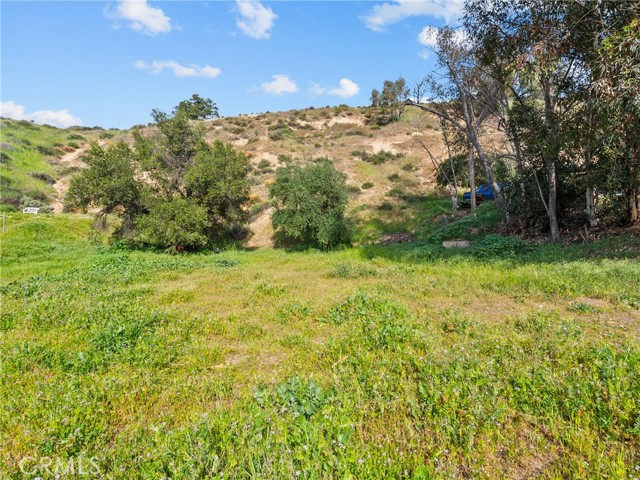 Detail Gallery Image 3 of 10 For 0 Cottage Glen Drive, Castaic,  CA 91384 - – Beds | – Baths