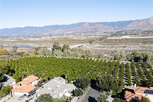 Detail Gallery Image 41 of 45 For 1922 Alta St, Redlands,  CA 92374 - 3 Beds | 2/1 Baths