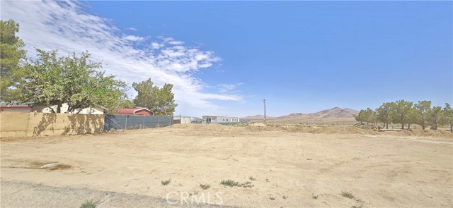 Front Image Thumbnail for CRDW26159887