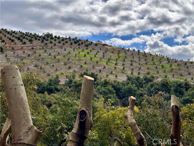 39725 Jones Road, Fallbrook CA: https://media.crmls.org/medias/1c341d26-77dd-4644-9840-aaa806e3308d.jpg
