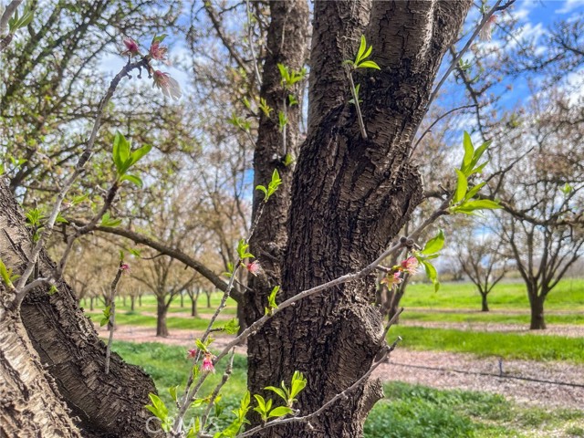 3271 Chico River Rd, Chico, CA, 95928 3271 Chico River Rd, Chico, CA, 95928