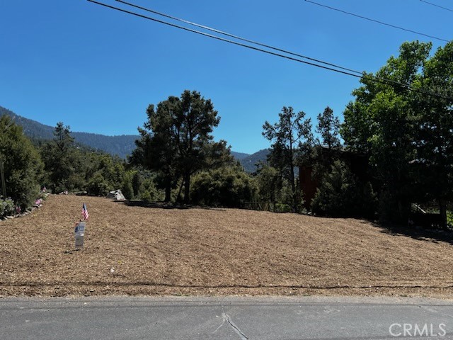 2045 Woodland Drive, Pine Mtn Club, California 93225, ,Land,For Sale,2045 Woodland Drive,CRSR24048274