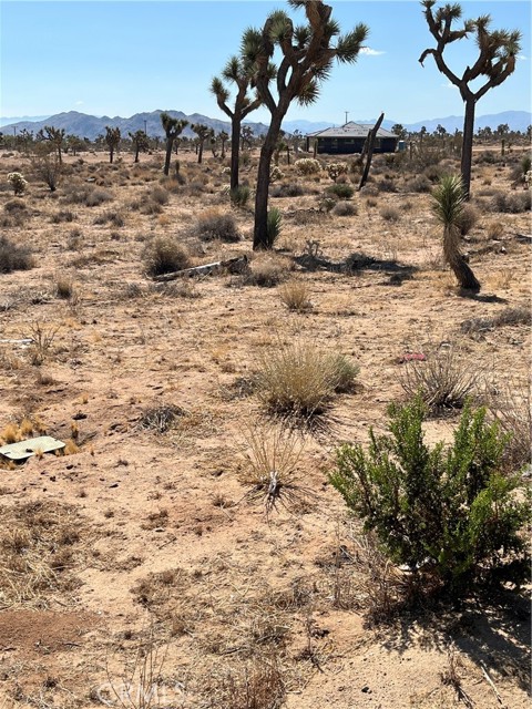 Detail Gallery Image 2 of 11 For 2801 Avalon Ave, Yucca Valley,  CA 92284 - – Beds | – Baths