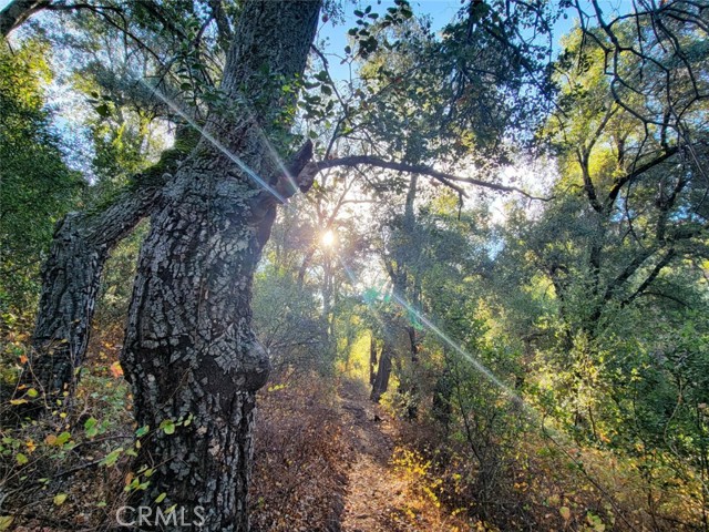 5049 CA-78, Santa Ysabel CA: https://media.crmls.org/medias/1c4e218b-558d-4493-8c93-10a70dbdb9bc.jpg