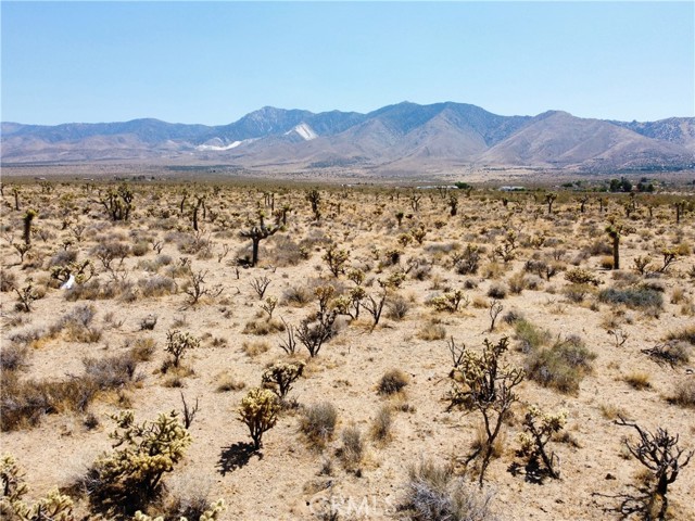 Detail Gallery Image 9 of 30 For 4510933 Ivanhoe Rd, Lucerne Valley,  CA 92356 - – Beds | – Baths