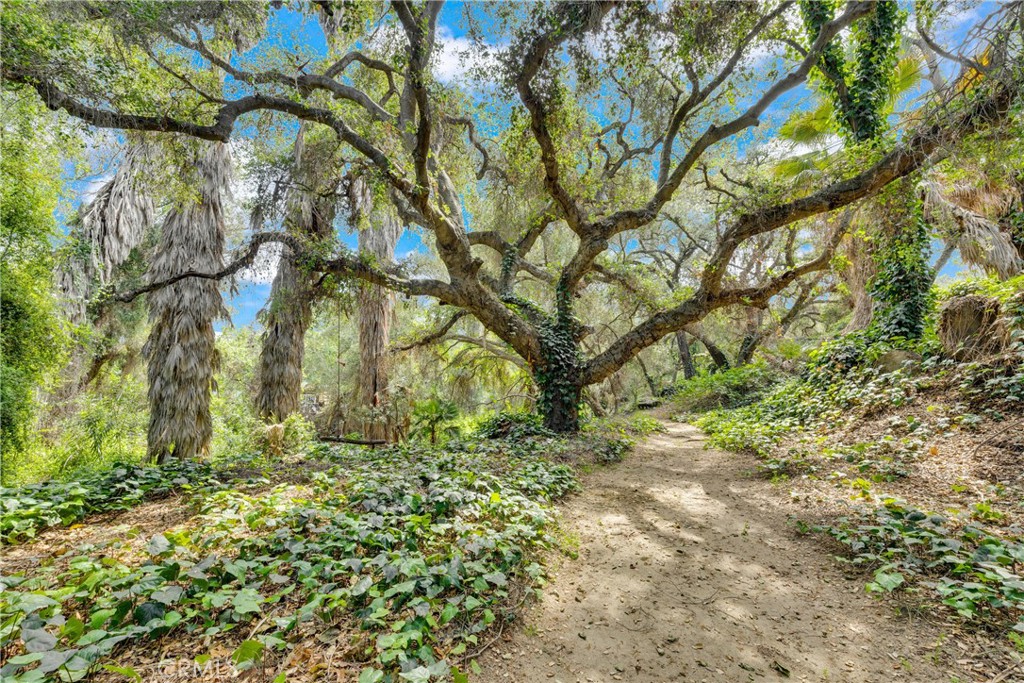 https://media.crmls.org/medias/1c574da0-0eda-4d6d-b914-bcb2e92dd640.jpg?preset=X-Large