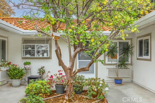 Detail Gallery Image 3 of 26 For 2024 via Mariposa W. #B,  Laguna Woods,  CA 02637 - 2 Beds | 2 Baths