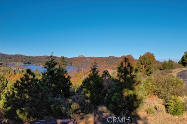 202 Hidden Forest Road, Lake Arrowhead, California 92352, ,Land,For Sale,202 Hidden Forest Road,CREV23214554