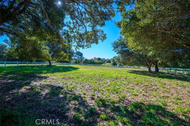 425 W El Campo Road, Arroyo Grande CA: https://media.crmls.org/medias/1c5a54ae-be6e-4a03-8936-cf9f5068b1a2.jpg