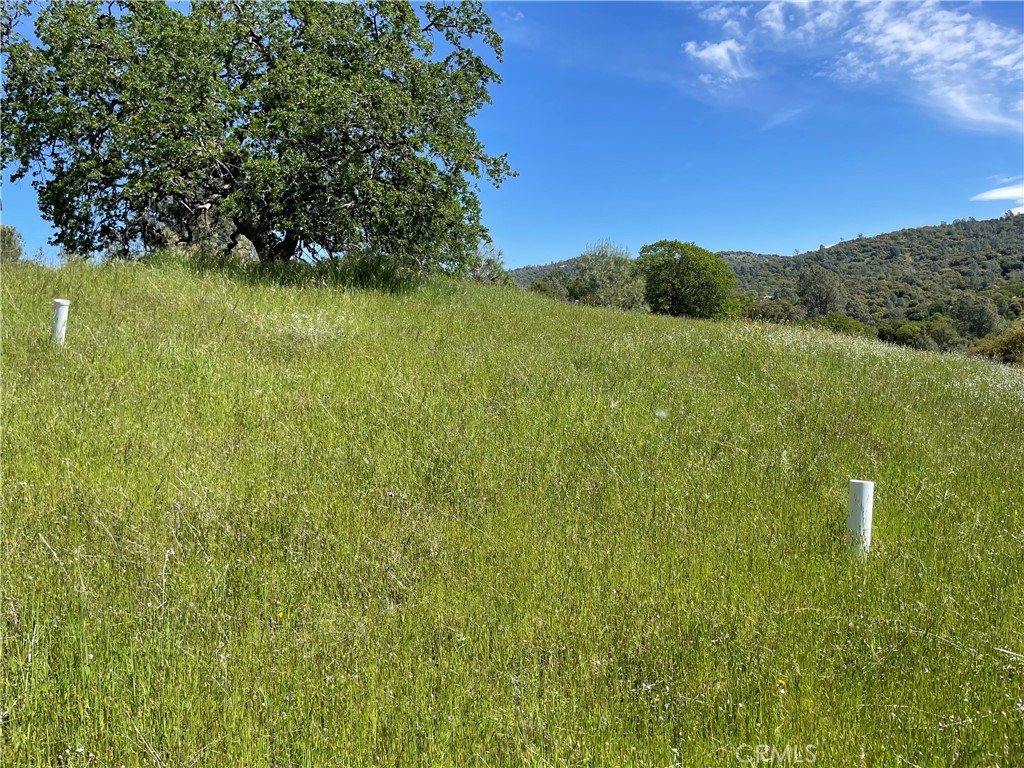 MLS #MP25096218 image #17