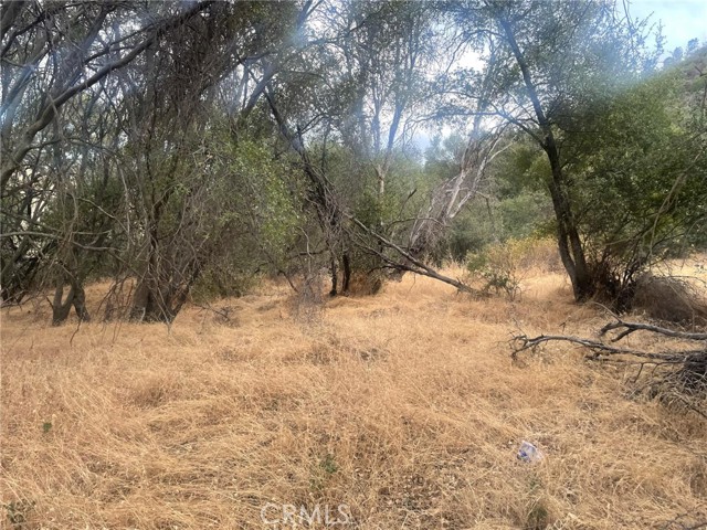 Detail Gallery Image 4 of 19 For 43020 Apache Ranch Rd, Ahwahnee,  CA 93601 - – Beds | – Baths