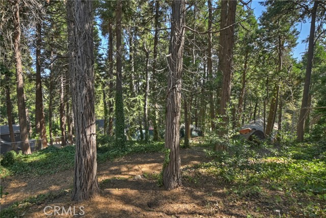 Image 19 of 23 For 23717 Scenic Drive