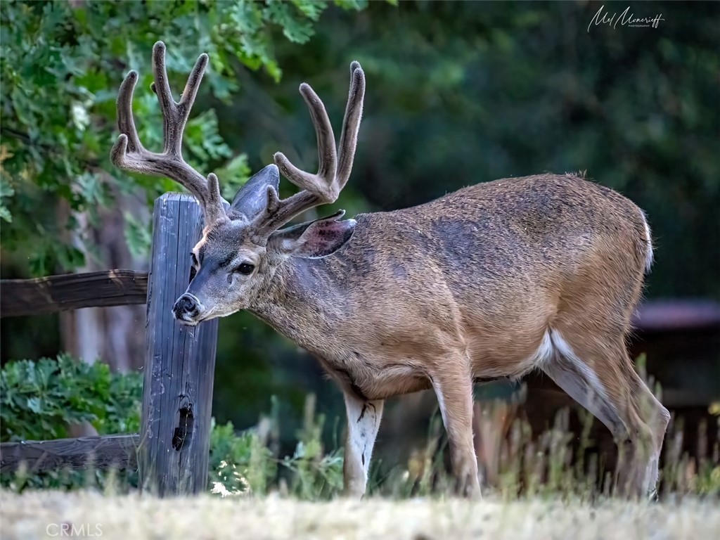 https://media.crmls.org/medias/1c657830-8a19-4e5f-8d26-6b7280c3ecdb.jpg?preset=X-Large